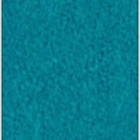 Focus_col_66021.jpg